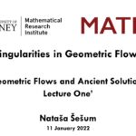 Singularities in Geometric Flows lecture