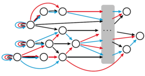A general homogeneous feedforward network with asymmetric inputs